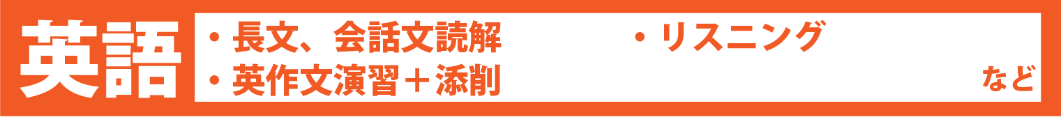 英語：長文、会話文読解・英作文演習+添削・リスニング　など