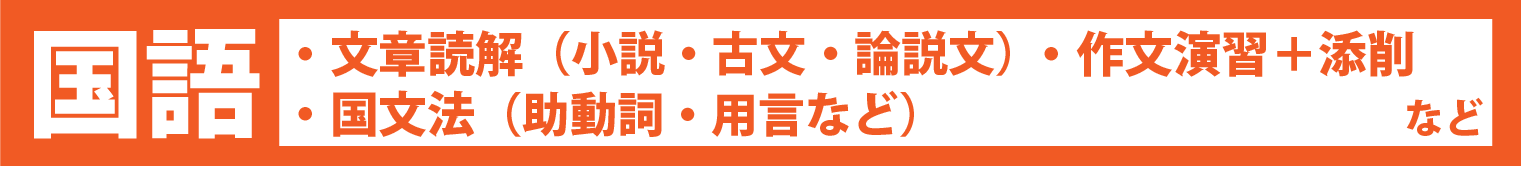 国語：文章読解（小説・古文・論説文）・国文法（助動詞・用言など）・作文演習+添削　など