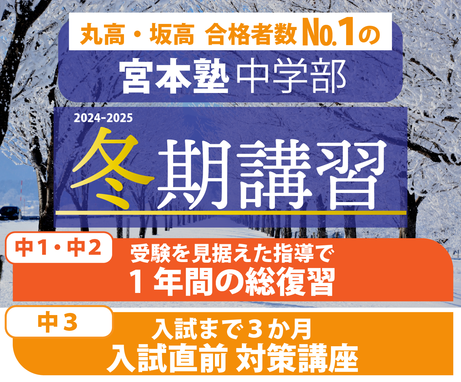 丸高・坂高 合格者数No.1の 宮本塾中学部 2024-2025冬期講習 中１・中２：受験を見据えた１年間の総復習 中３：入試まで３か月 入試直前対策講座